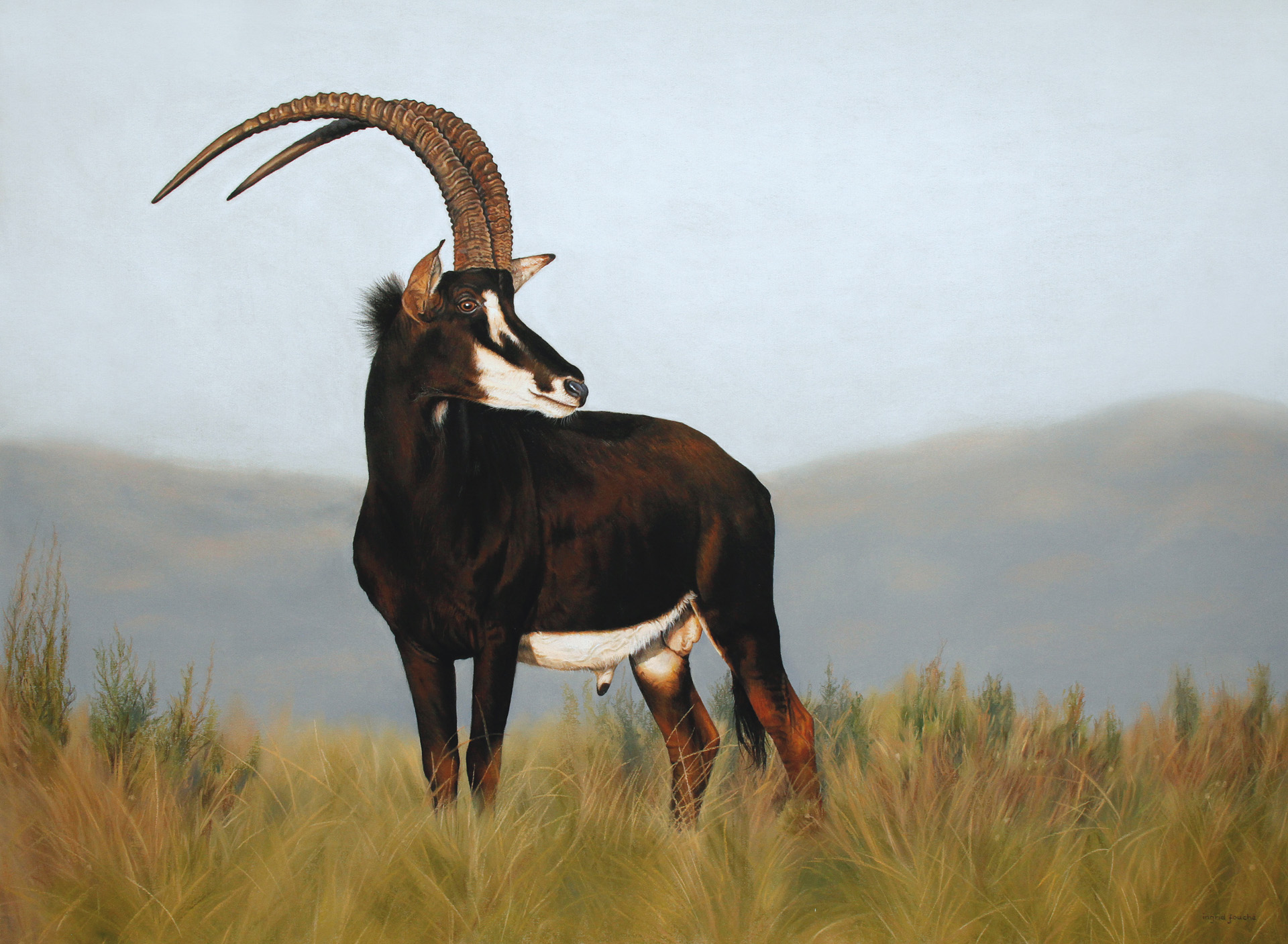 Ingrid_Sable_Antelope_1920